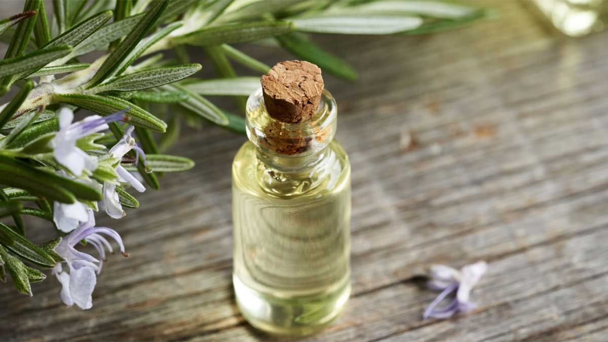 مهم ترین خواص روغن رزماری برای مو