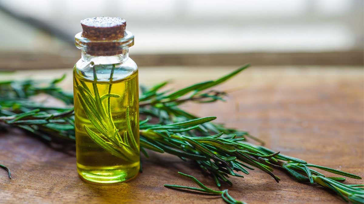 خواص روغن رزماری برای مو