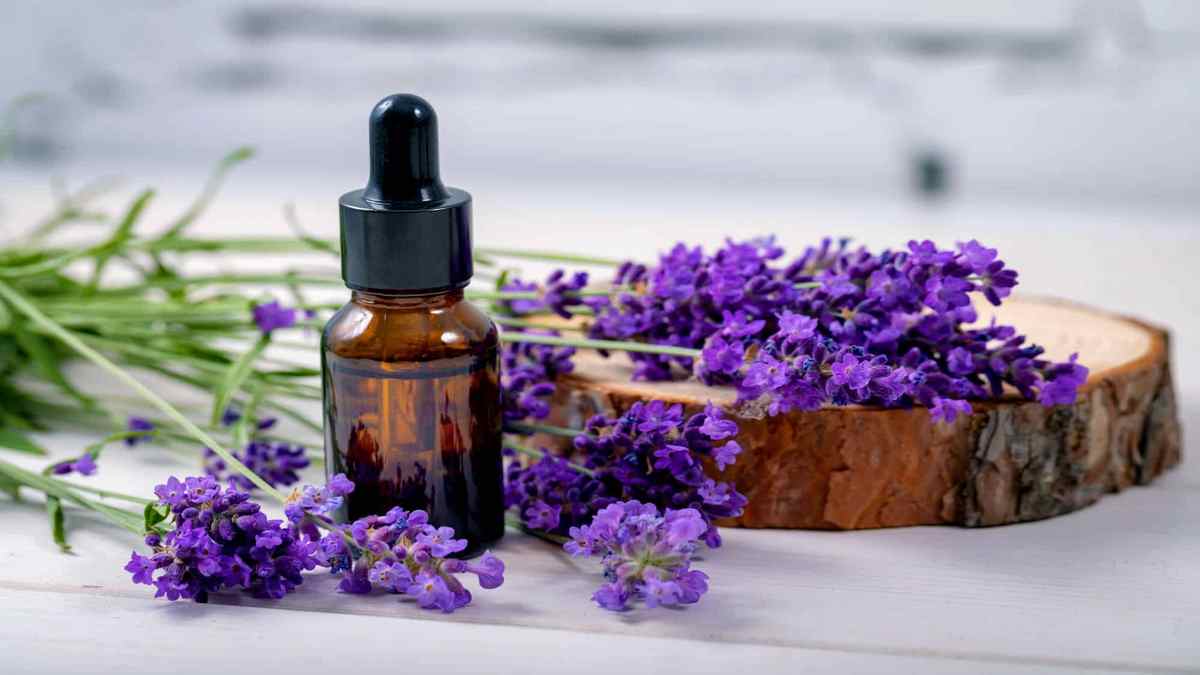 روغن اسطوخودوس