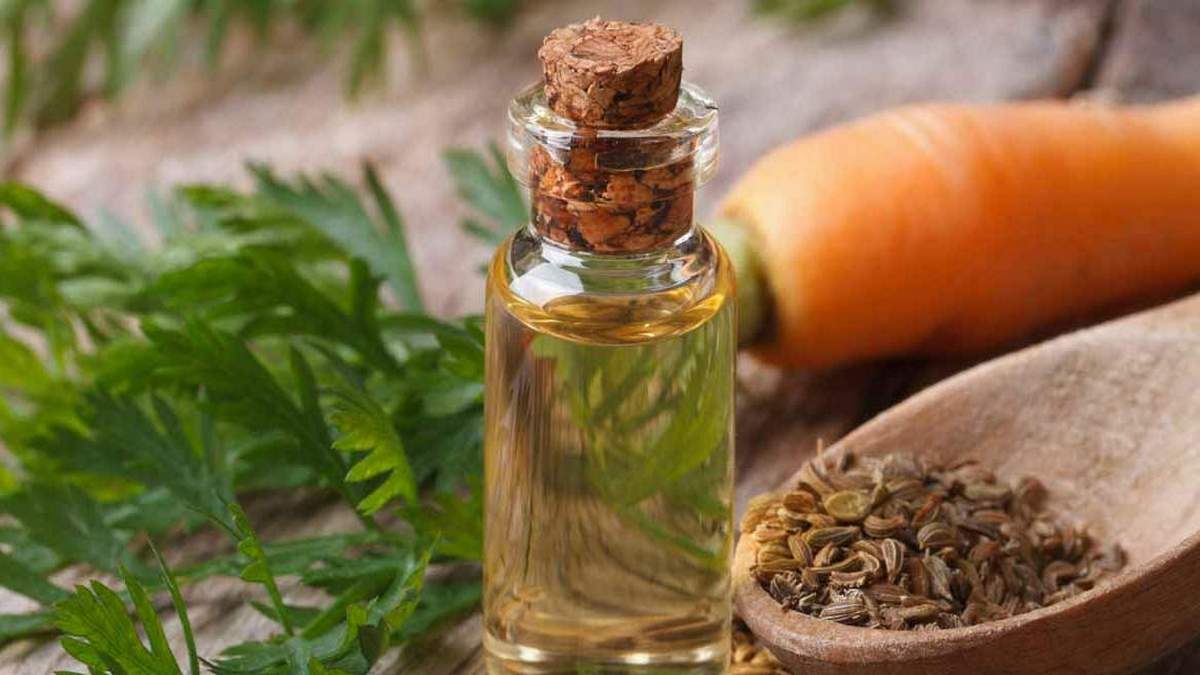 روغن دانه ( بذر ) هویج