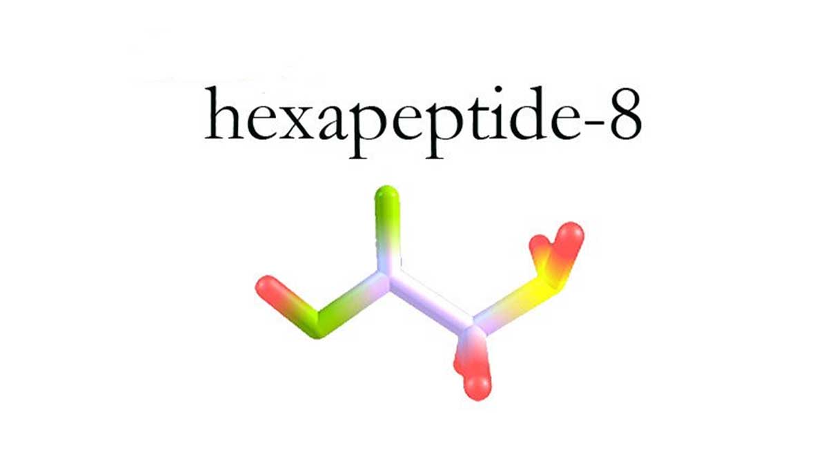 عملکرد هگزاپپتاید ۸ چیست؟